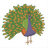 peacock